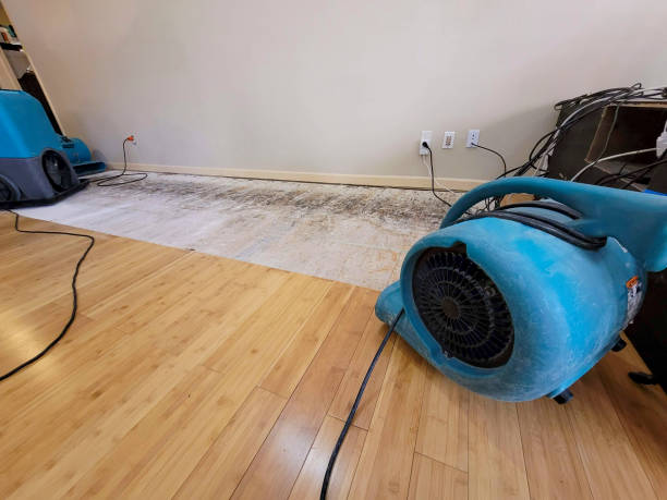 Professional Water Damage Repair technician working in Hanford, CA
